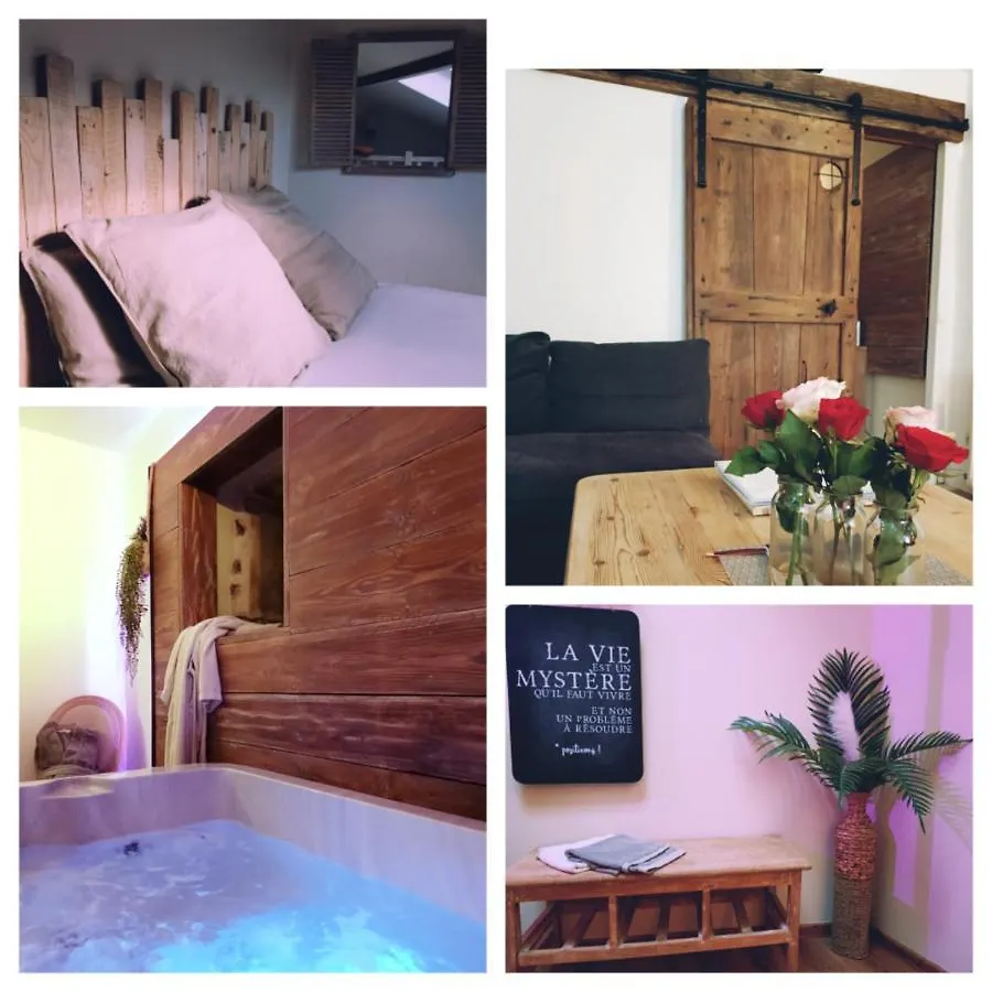 Le Petit Secret D'Alban Villa Saint-Alban-de-Roche Holiday home